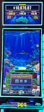 Live Casino pgq